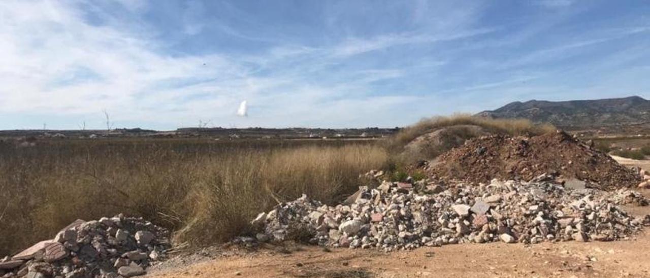 La zona de Pinoso donde un joven encontró el cadáver. | MCP