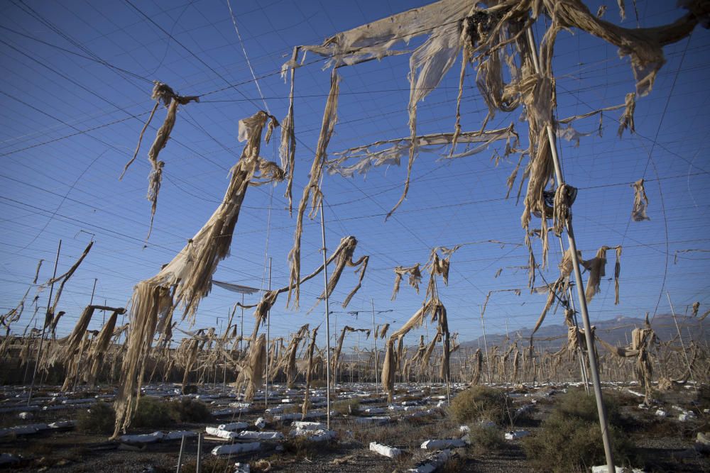 Fotos de invernaderos abandonados en el Sur de ...