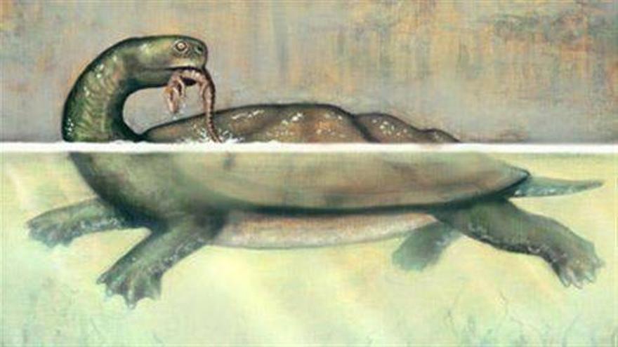 Descubren en Colombia un fósil de tortuga del tamaño de un coche