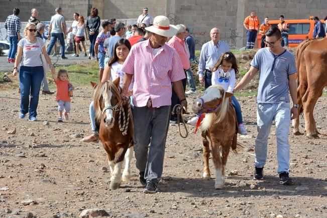 FIESTAS DE SAN GREGORIO