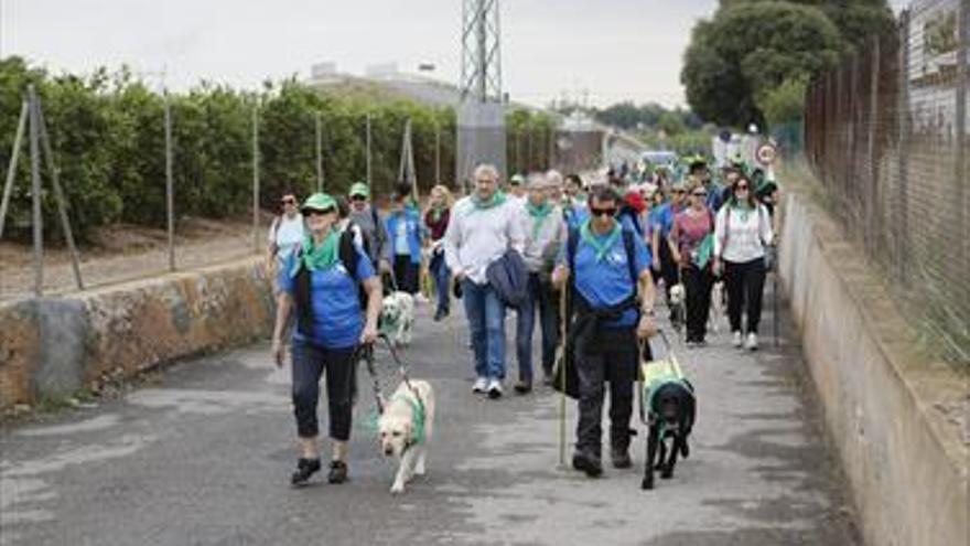 La primera romería de perros guía atrae a 200 personas