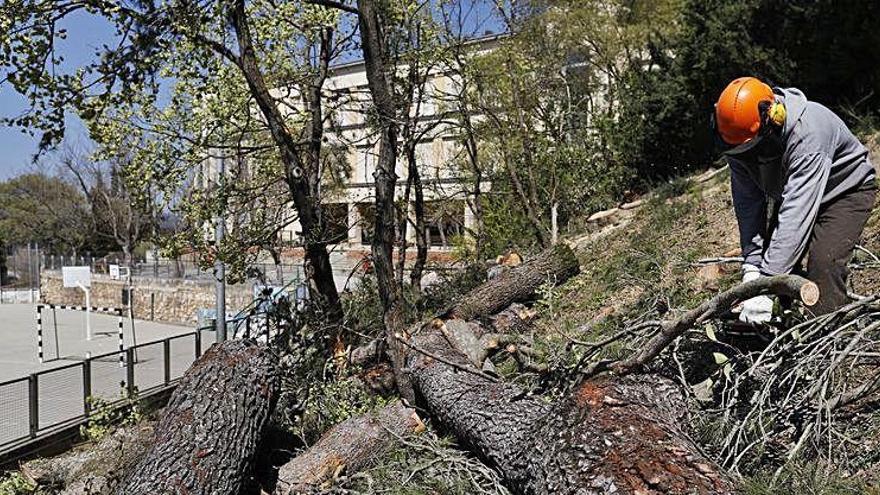 Actuació a l&#039;escola Montjuïc ahir al migdia.