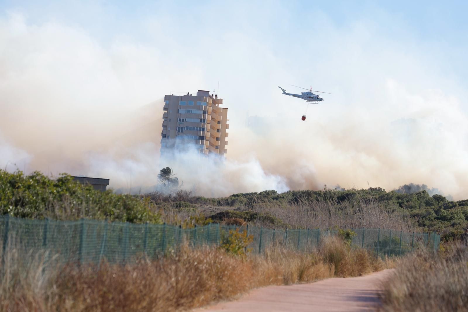 Declarado un incendio en el Saler