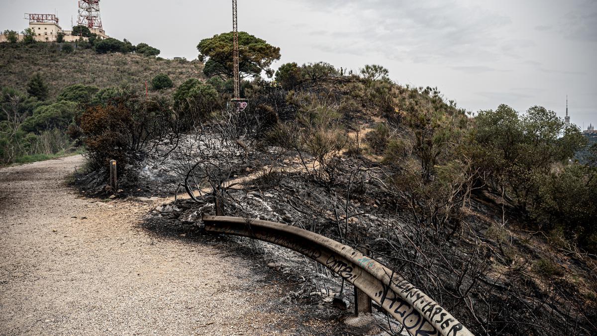 incendi collserola