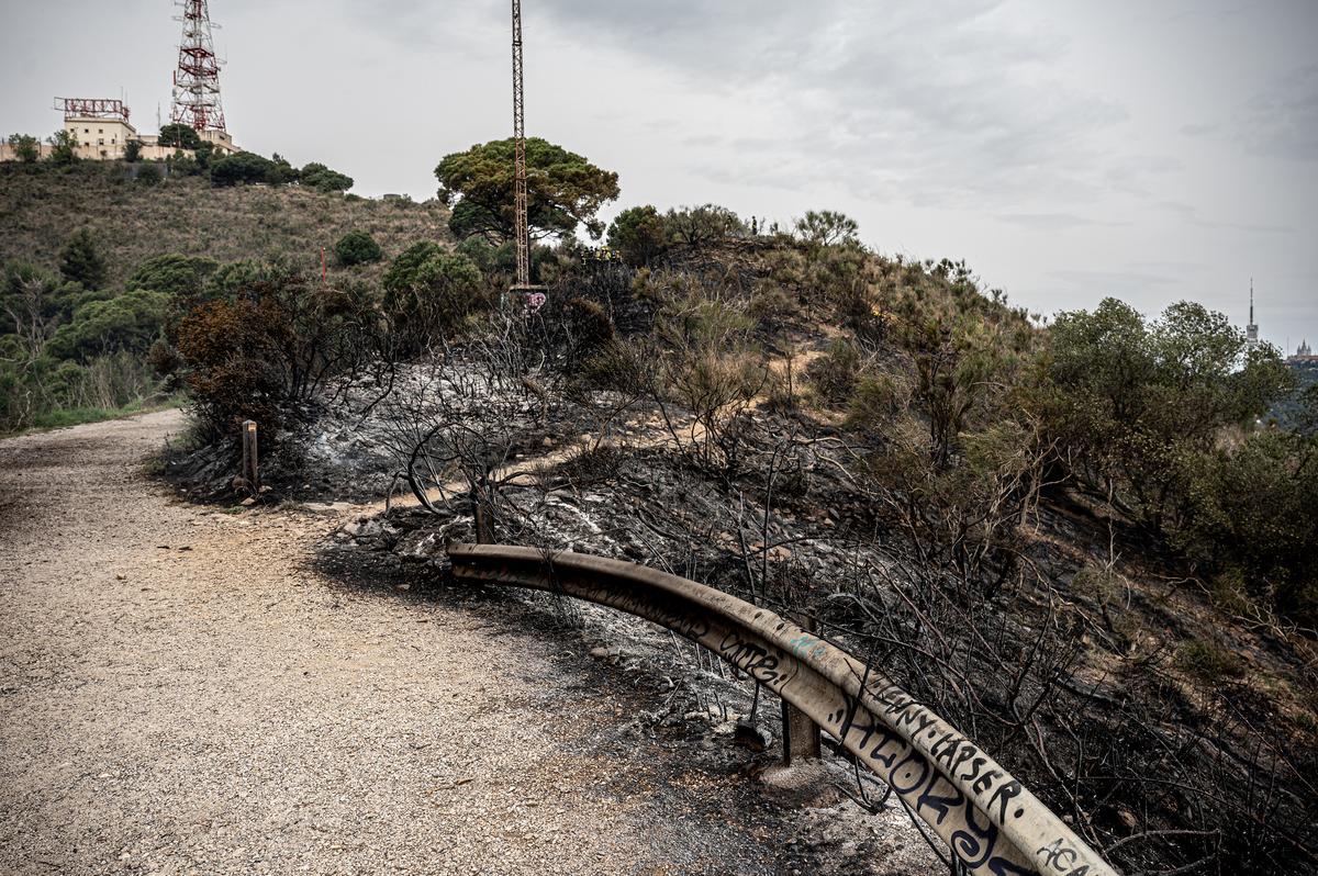 Efectos de un fuego que el 26 de abril de 2021 afectó la zona de Sant Pere Màrtir de Collserola