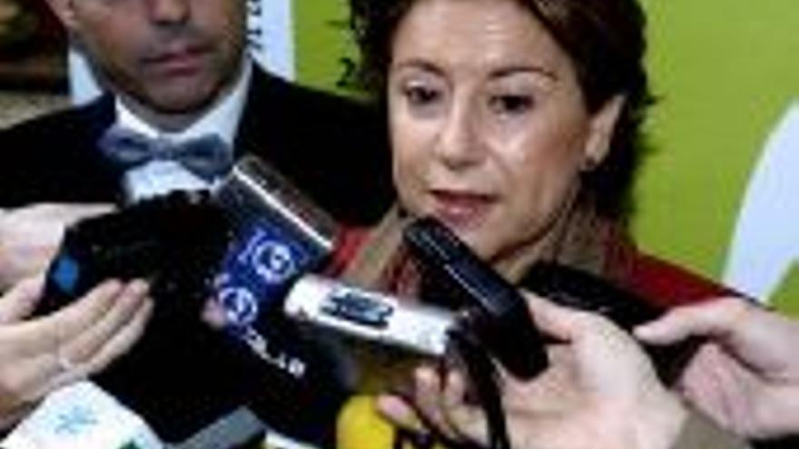 Alvarez pide a los consejeros que no voten los estatutos