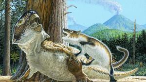 Ilustración que muestra a Repenomamus robustus mientras ataca a Psittacosaurus lujiatunensis momentos antes de que un flujo de escombros volcánicos los entierrara a ambos hace 125 millones de años.