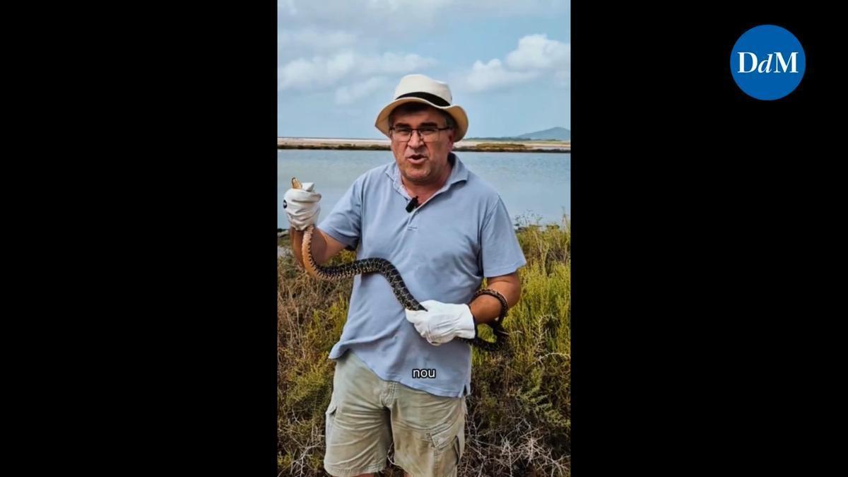 Joan Simonet advierte del peligro de la serpiente de herradura cogiendo una con las manos