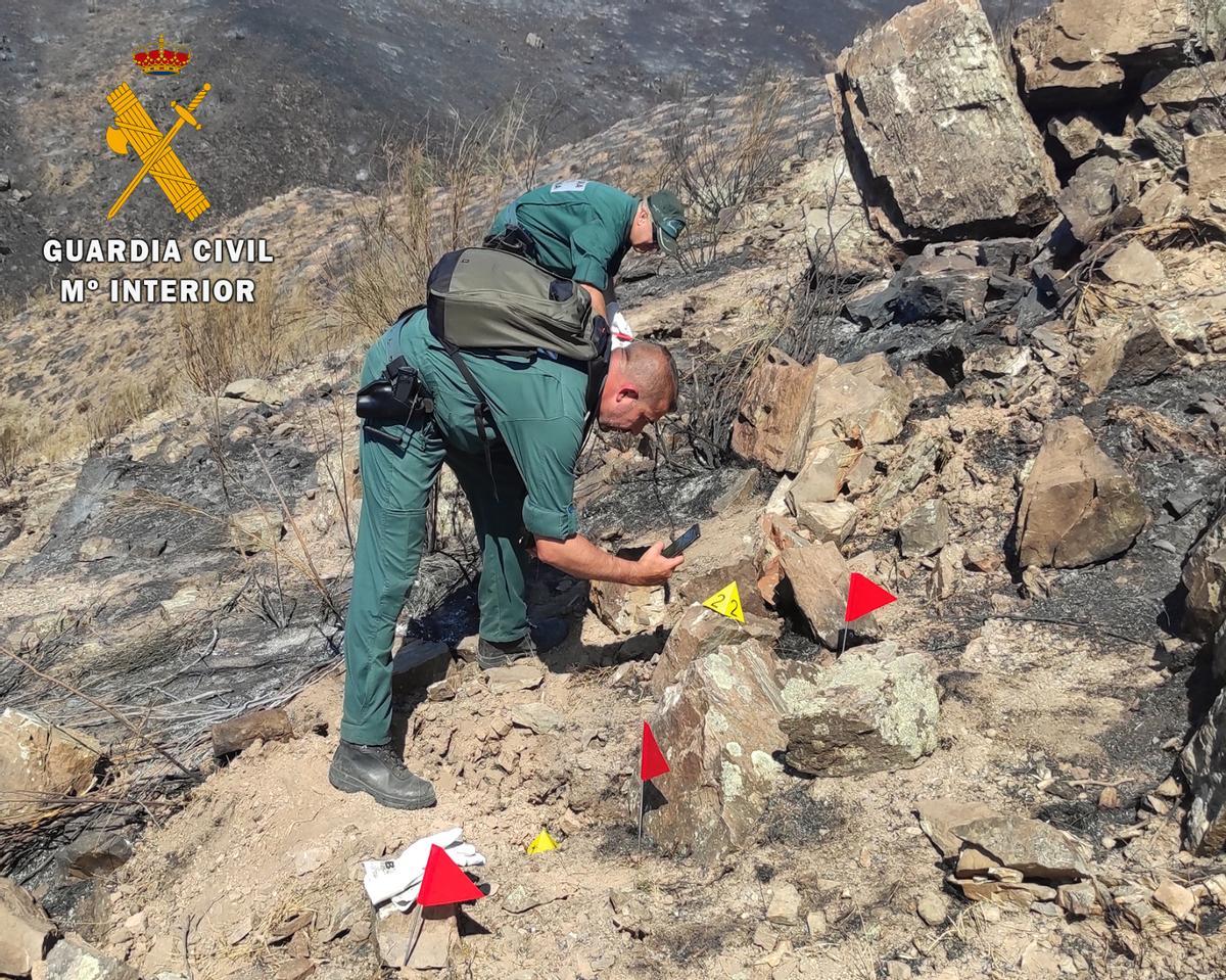 Agentes de la Guardia Civil, recogiendo pruebas sobre el terreno para averiguar el origen del fuego del incendio de Ateca