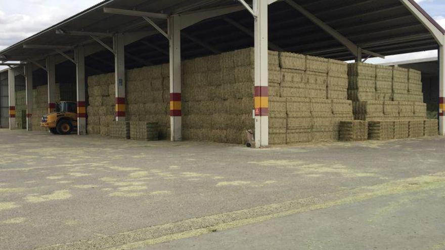 La venta de alfalfa a China sufre pero superará las 100.000 toneladas