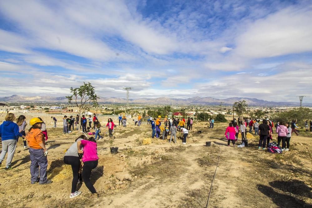 Proyecto para convertir la cantera de Cox en zona verde