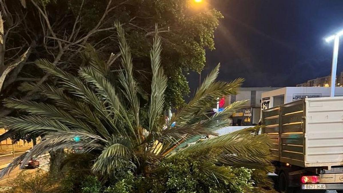 la borrasca Regina deja 27 incidencias en Las Palmas de Gran Canaria