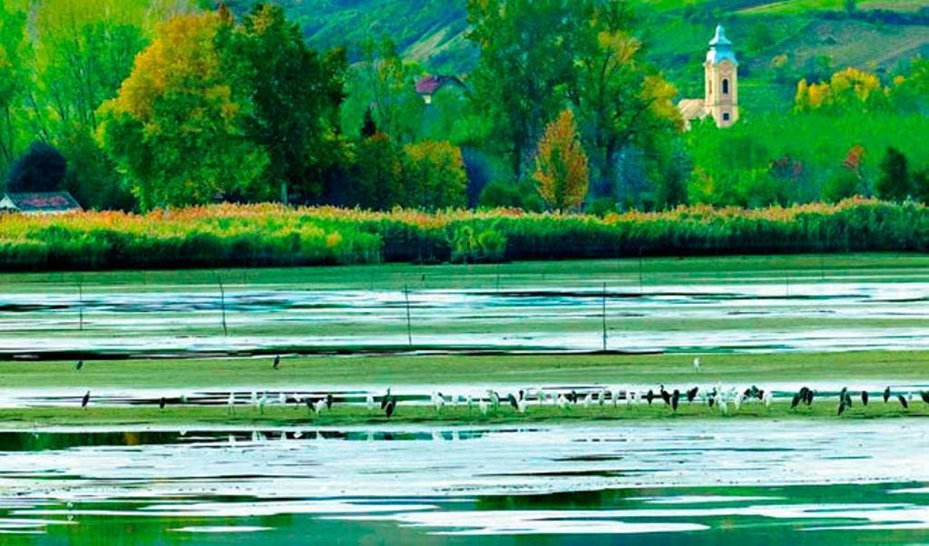 Parque Nacional de Fruka Gora, naturaleza y cultura en Serbia
