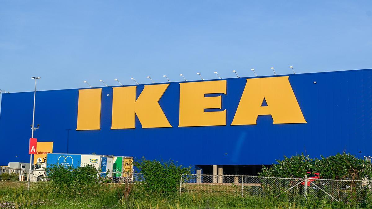 Colas en Ikea para conseguir el nuevo limonero que puedes plantar en casa más barato del mercado: perfecto para balcón o terraza