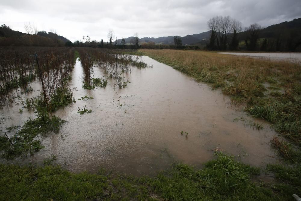 Aspecto del río Nalón a su paso por Riberas de Pravia