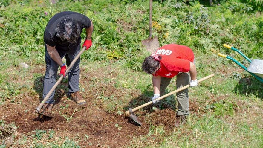 Nueva campaña de excavación en el castro de Castrolandín en Cuntis