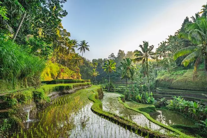 8 viajes que ya deberías haber hecho