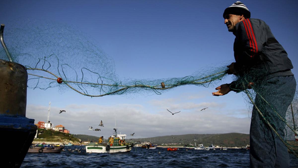 Un pescador en Finisterre, el dia en que se conoció la sentencia por el caso del 'Prestige'.