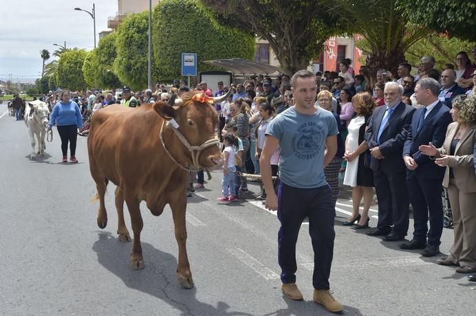 Feria de ganado y procesión de San José Obrero