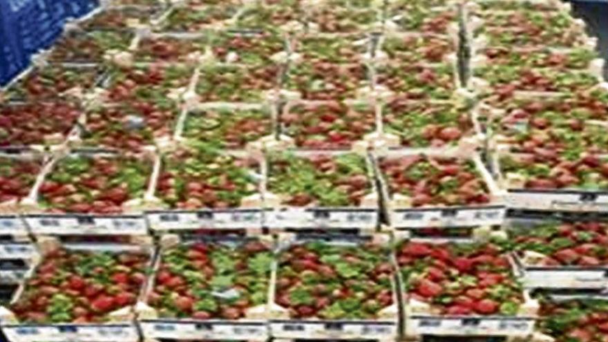 Intervenidos en Badajoz 100 kilos de fresas por venta ilegal