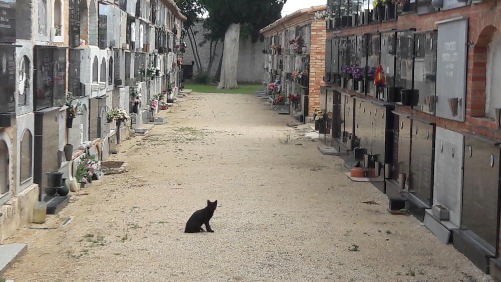 Cementerio masónico de Buñol