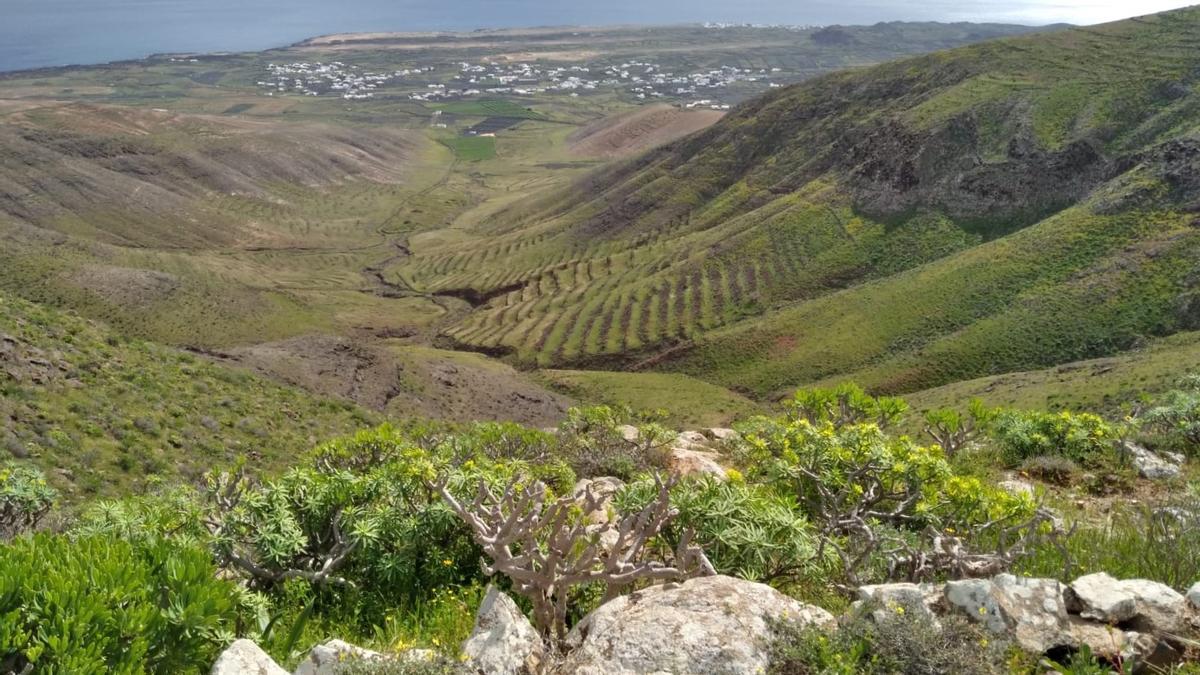 Vista de Mala desde lo alto del barranco de Tenegüime.jpeg