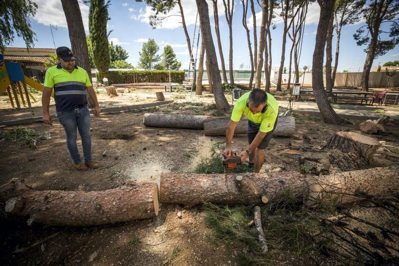 Efectos de la tormenta en Longares