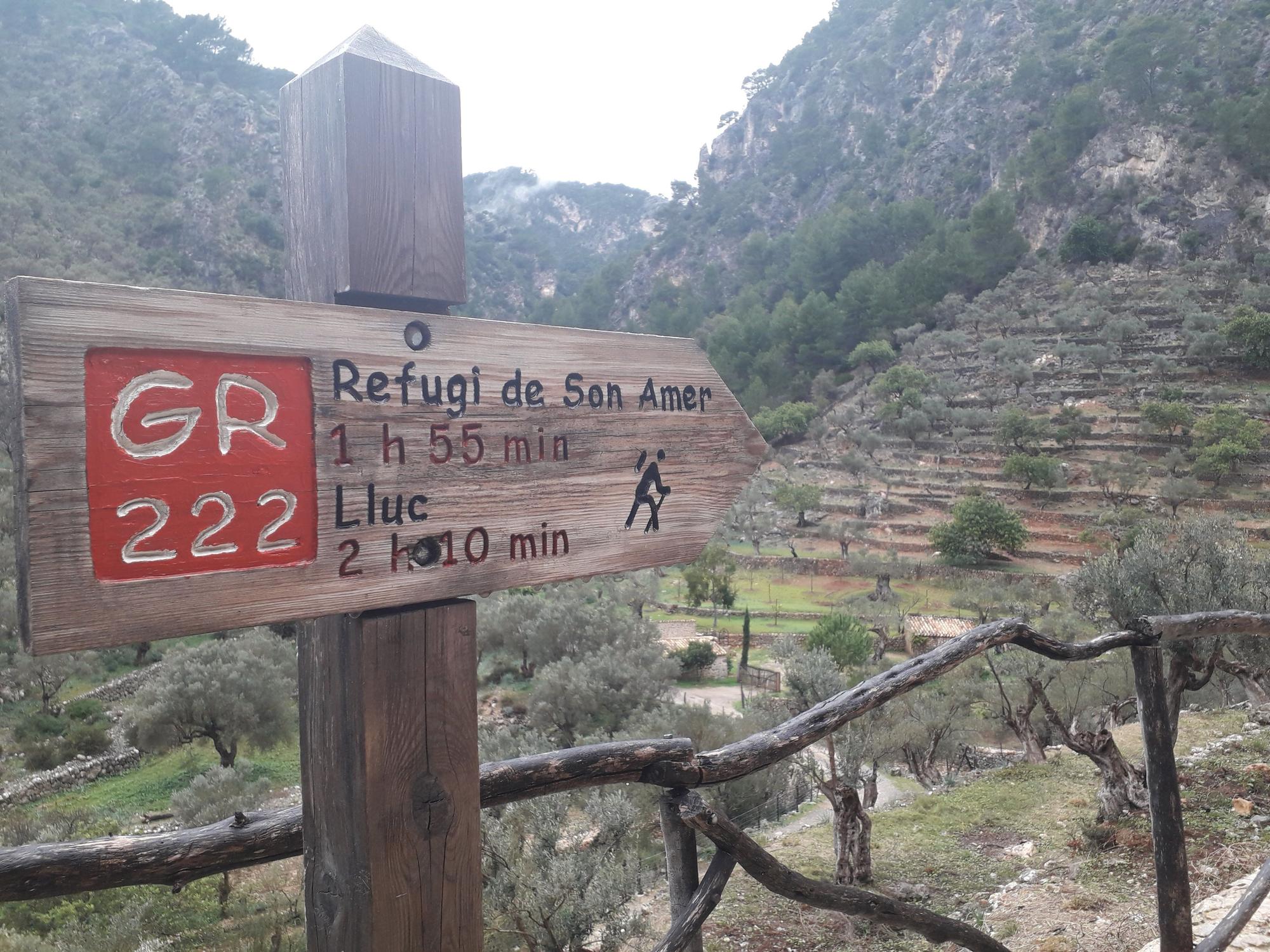 Operation Wegweiser: Wandern auf Mallorca im Schilderwald