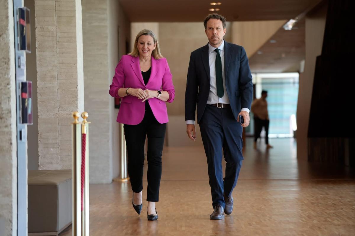 Isabel Blanco Llamas, procuradora del PP por Zamora y vicepresidenta en funciones de la Junta.