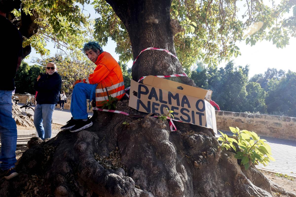 Así ha sido la protesta vecinal contra la tala de los bellasombra ...