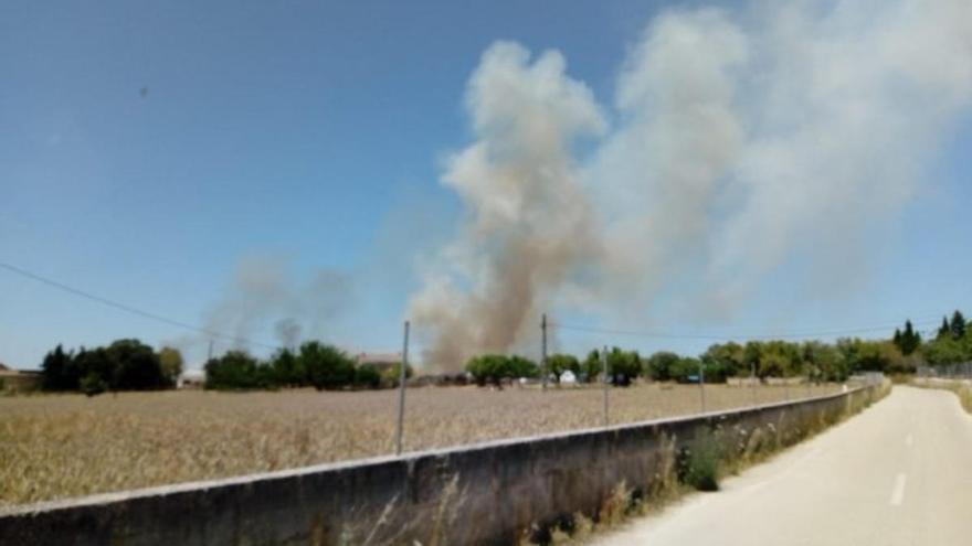 Incendio agrícola entre Montuïri y Lloret
