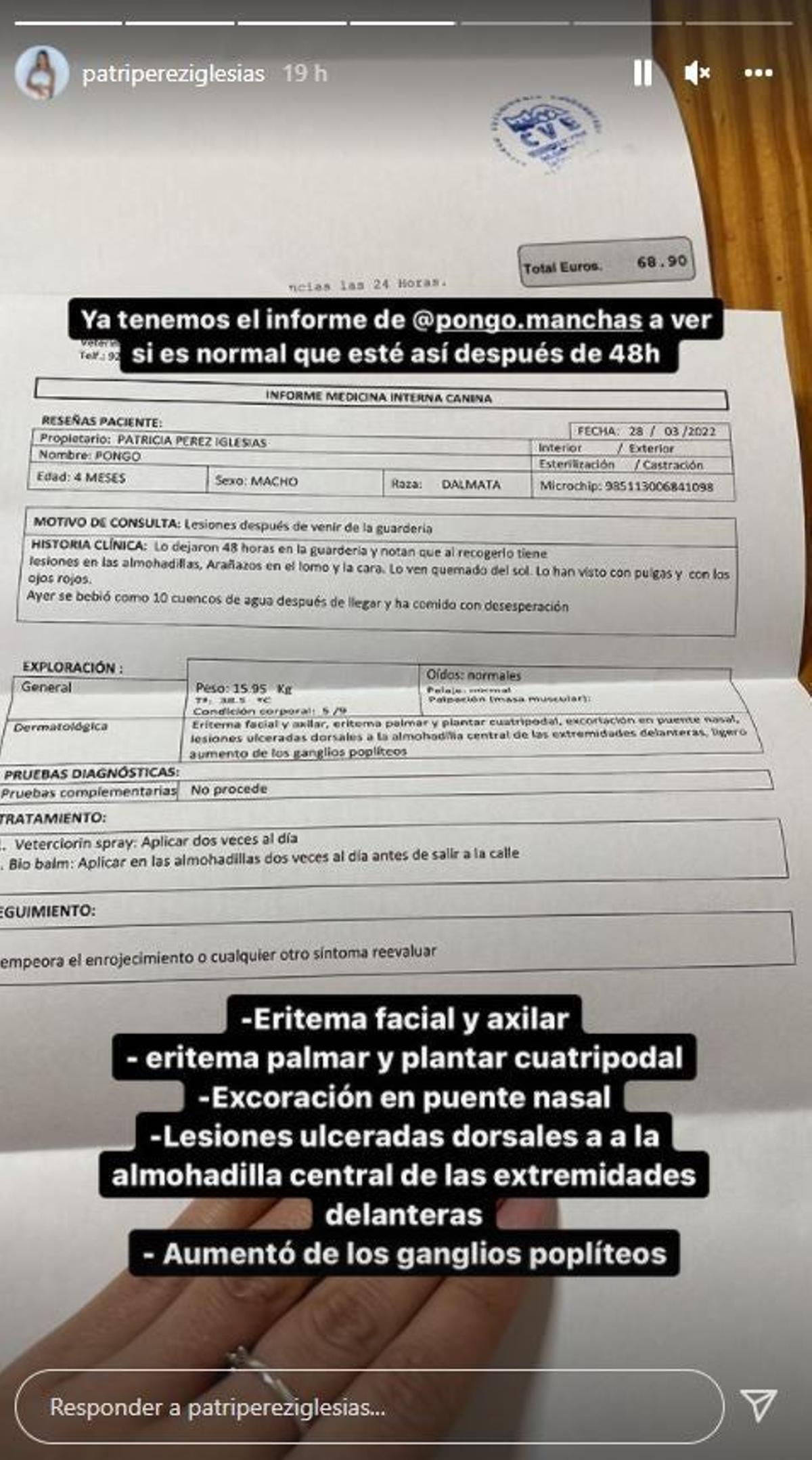 Patri Pérez y el diagnóstico de Pongo