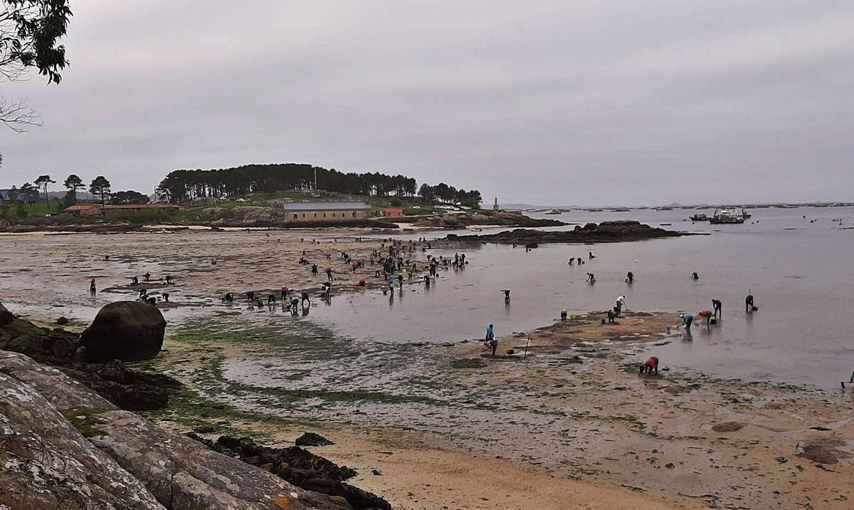 2021: un año de mareas "poco vivas"