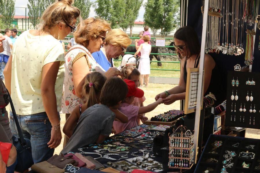 Feria de la Raza Sayaguesa en Bermillo