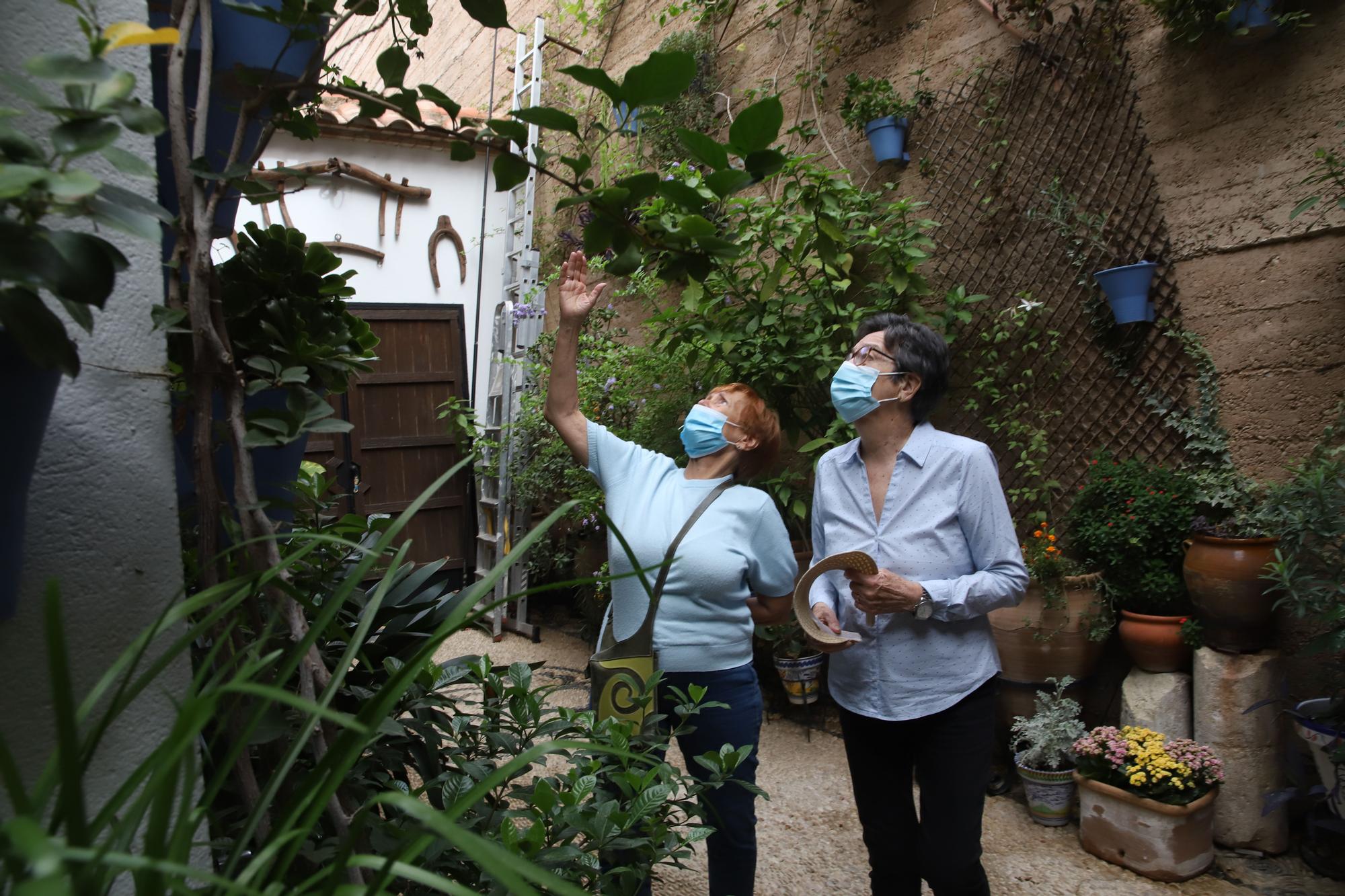 Los patios de otoño y Flora animan el fin de semana en Córdoba