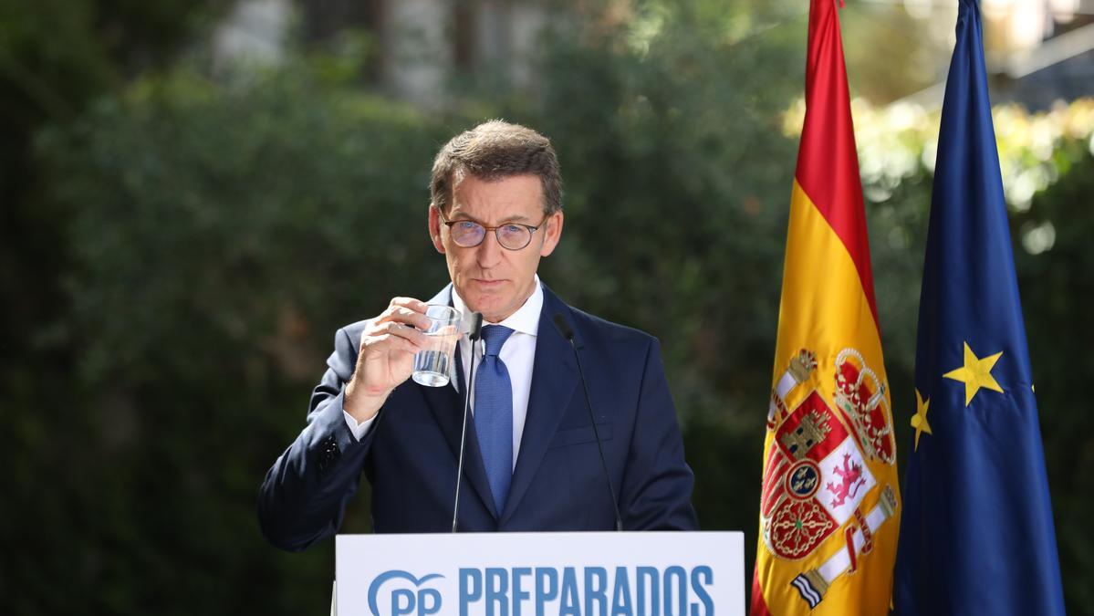 Alberto Núñez Feijóo, durante su comparecencia en el Senado