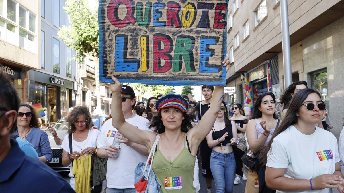 Un momento de la manifestación que recorrió las calles de Pontevedra.