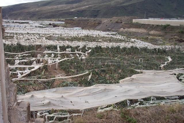 14 años del paso del Delta por Canarias