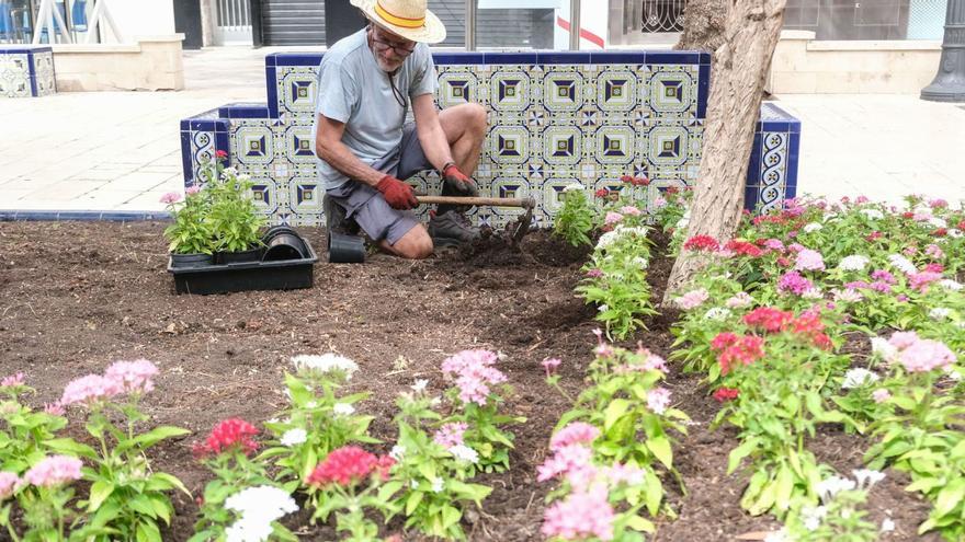Un trabajador de la brigada de Parques y Jardines planta flores en la Glorieta, en una imagen de archivo. | ÁXEL ÁLVAREZ