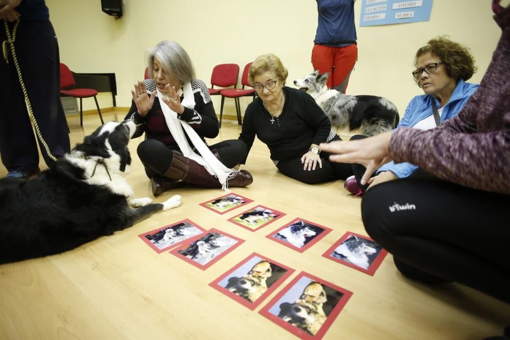 Taller de terapia con perros en el centro de mayores de Las Meanas, Avilés