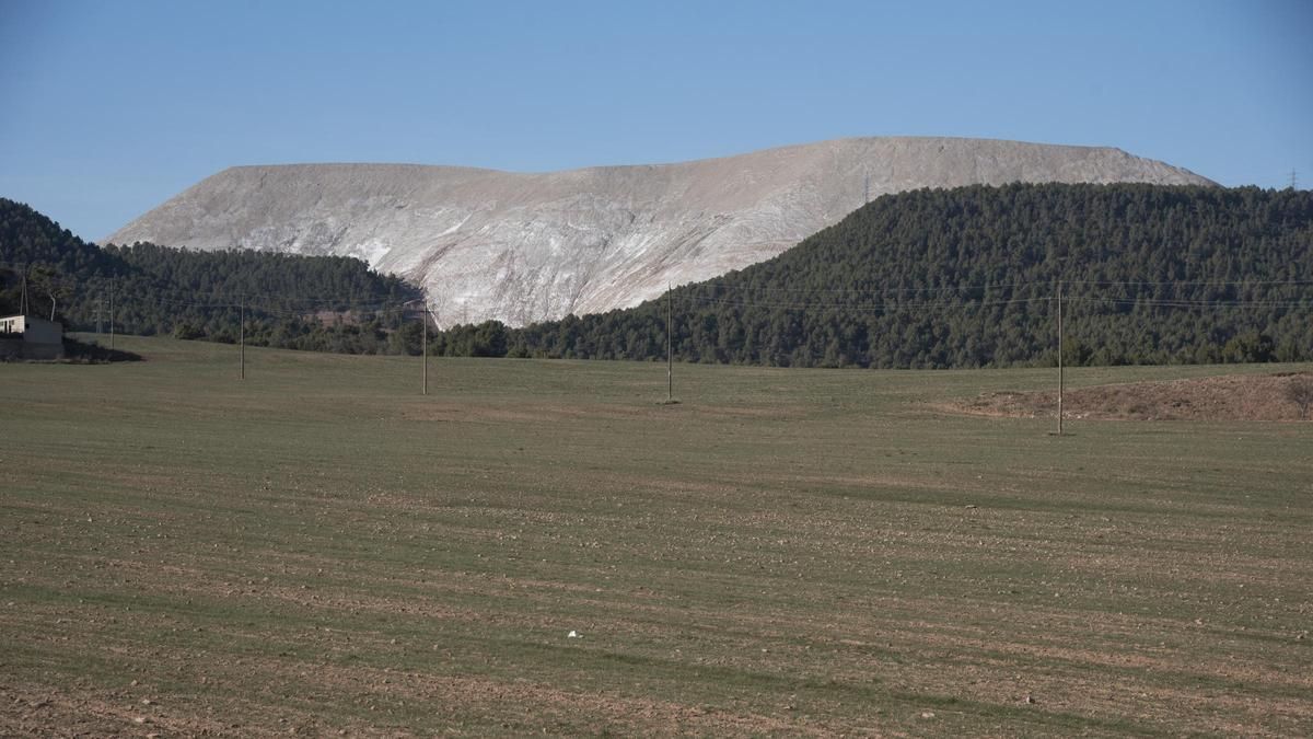 Vista general del vessant sud del runam del Cogulló de Sallent