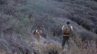 El Cabildo de La Gomera aprueba el calendario de caza con escopeta a partir del 17 de septiembre