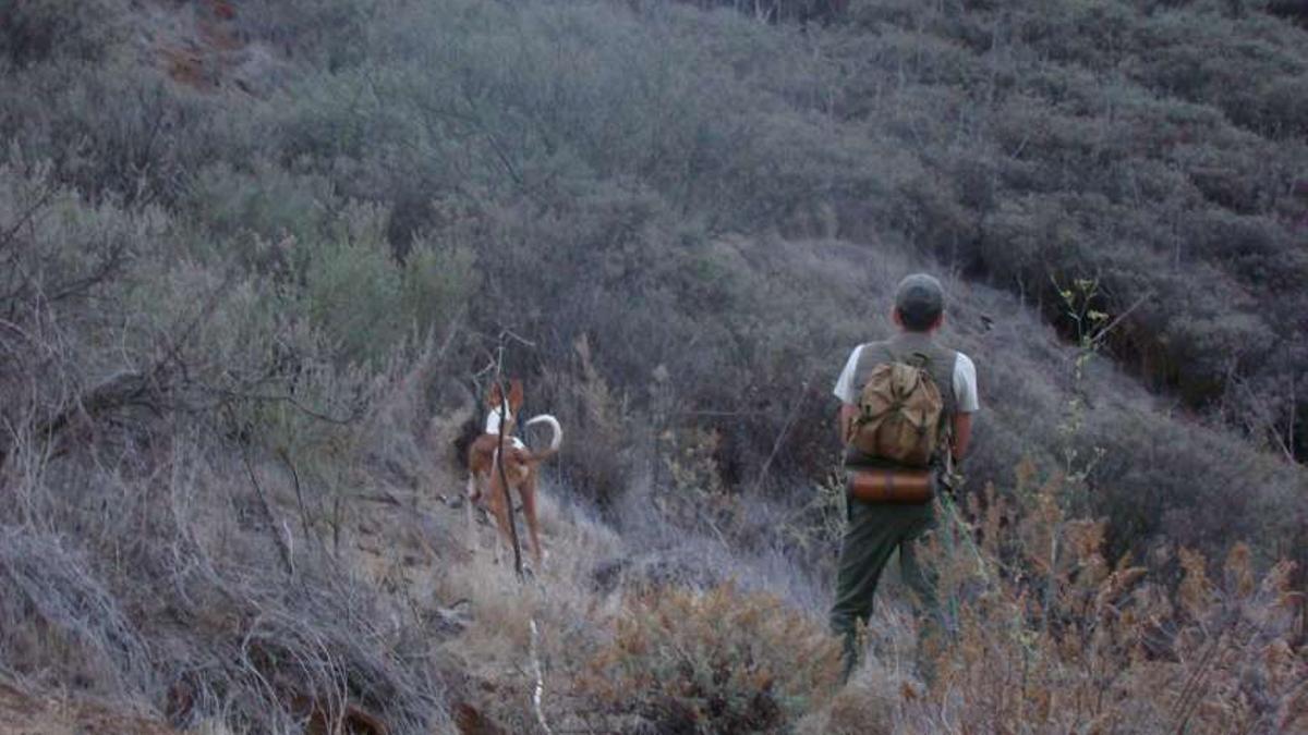 Caza en La Gomera