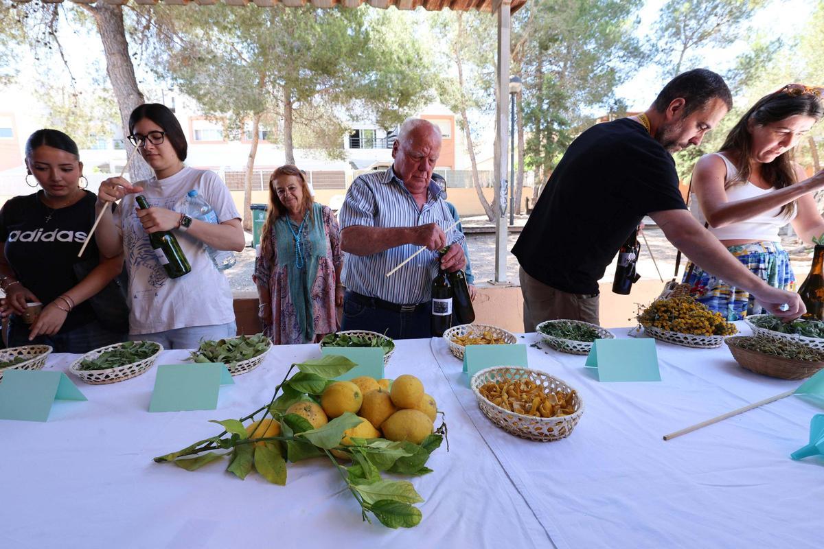 Taller de elaboración de hierbas ibicencas en Can Bonet