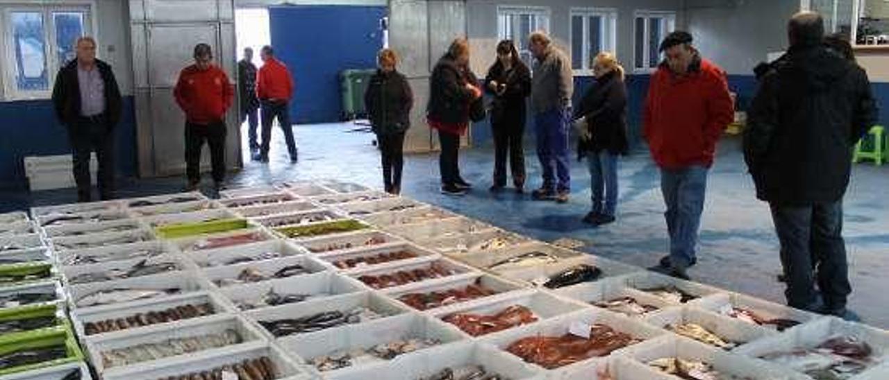 Subasta de pescado en la lonja de Luarca.