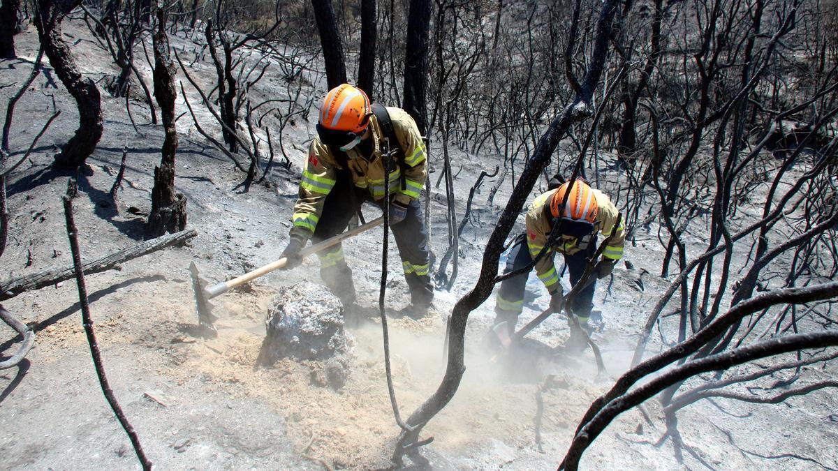 Vídeo | Els propietaris forestals de les Gavarres proposen un pla a quatre anys per restaurar la zona cremada