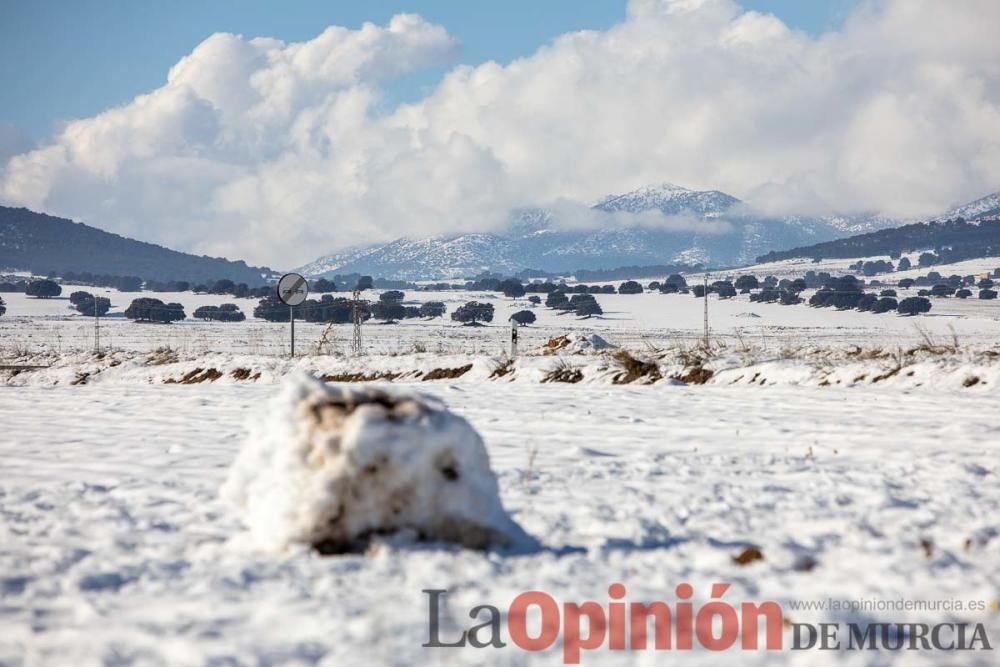 La nieve sigue siendo protagonista en el Noroeste