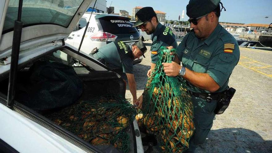 Agentes de la Guardia Civil de Vilagarcía y del Seprona retiran la vieira intervenida. // Iñaki Abella