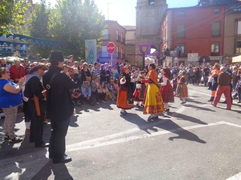 Desfile de carros en La Vendimia 2016 (Toro)