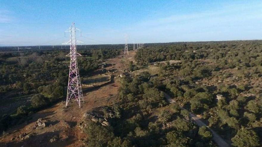 Zona despejada por la limpieza a lo largo de la línea de alta tensión por la comarca de Sayago.